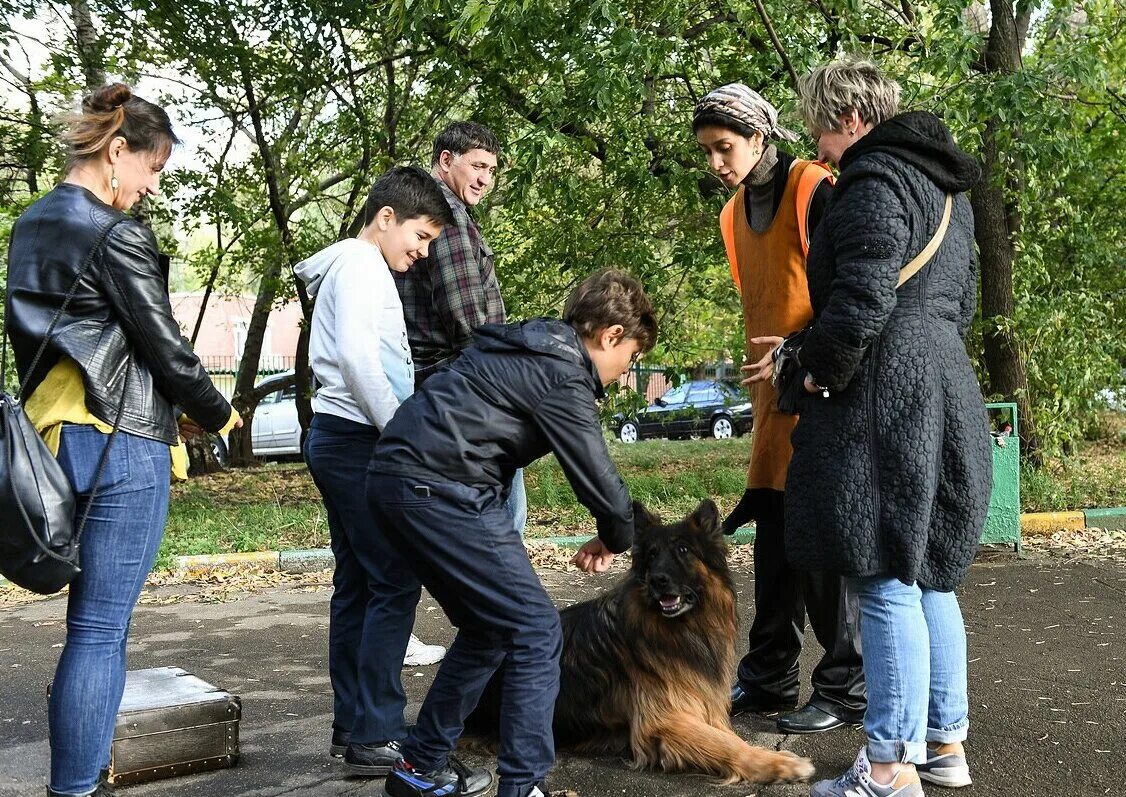И почти забытые в