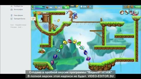 Несколько белок сделали по 4 тайника