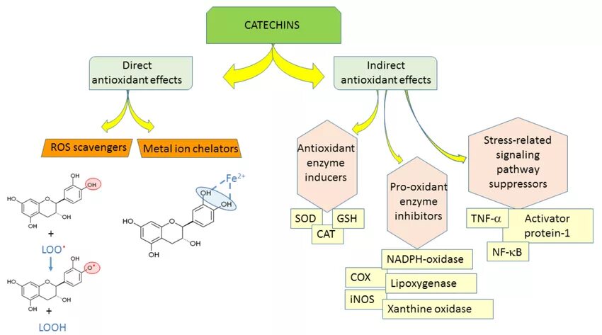 Antioxidant properties