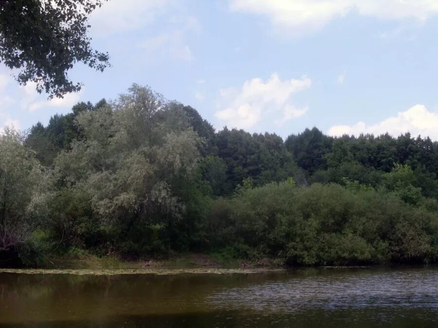 Погода никольское сакмарского района оренбургской. Сакмарский район Оренбургской области. Оренбургская область Сакмарский район природа. Никольское (Сакмарский район). Село Никольское Сакмарский район Оренбургская область.