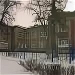 Црб тейково
