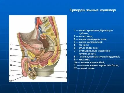 Терең жұлдыру қара және ақ фотосурет