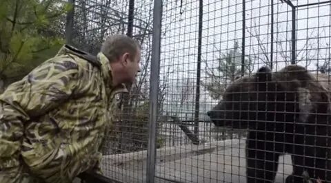 Алексагина последнее видео