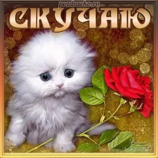 Красиво о том как скучаю