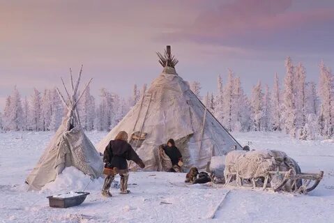 На севере жить картинки