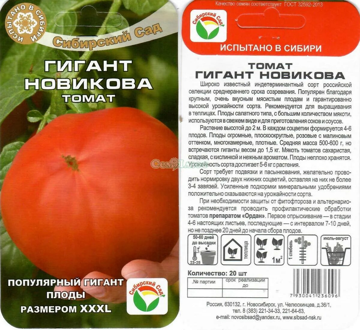 Помидоры гигант описание сорта фото отзывы