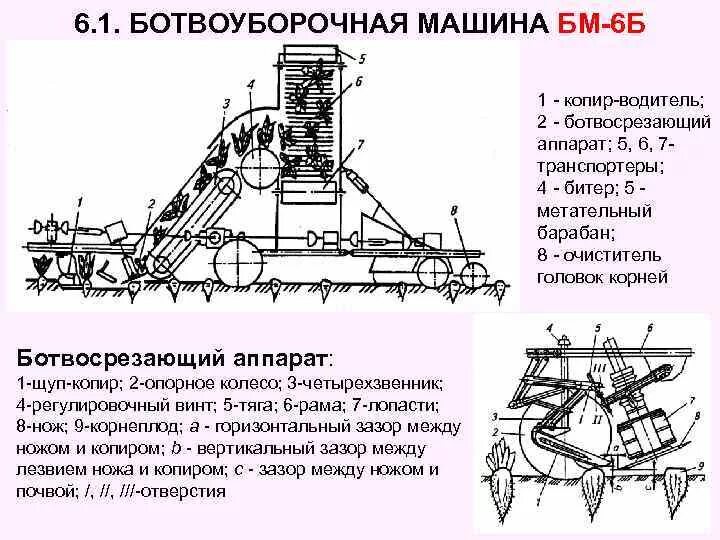 Ботвоуборочная машина БМ-6б. БМ 6 ботвоуборочная машина. Ботвоуборочная машина БМ-6б схема. Основные рабочие органы машины БМ-6а?. Назовите рабочий орган