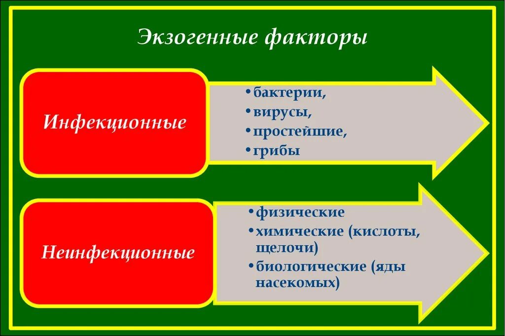 Экзогенные факторы. Эндогенные и экзогенные факторы. Экзогенные факторы и эндогенные факторы. Экзогенные факторы это в медицине.