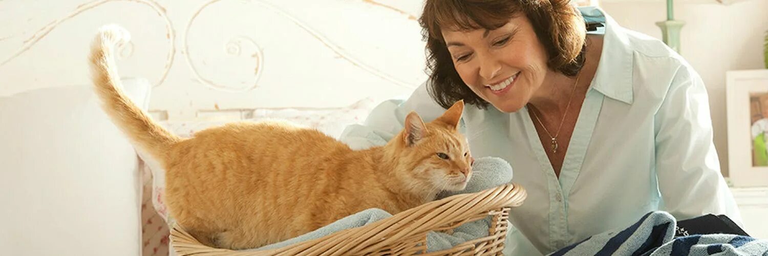 Как помочь кошке родить в домашних. Здоровье кошки. Как принять роды у кошки дома.