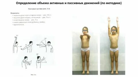 Активные и пассивные движения