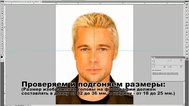 Программа для печати фотографий на документы. Программа для печати фотографий на документы. Подогнать фото 3 на 4. Программа для печати фотографий на документы. Уголки для фотографий.