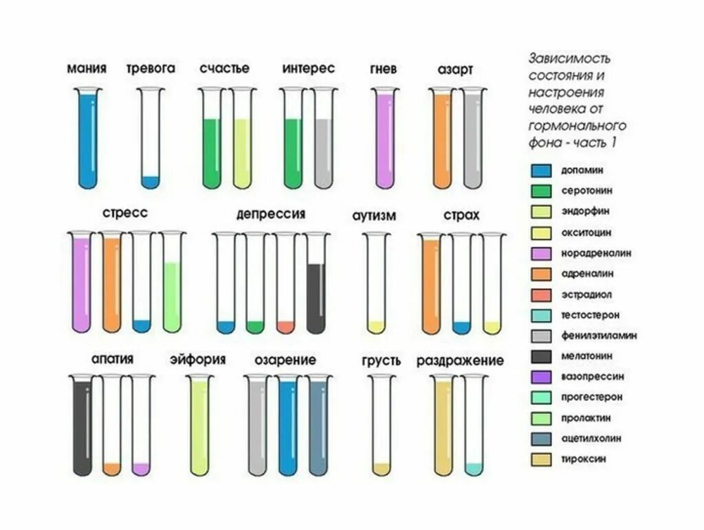 Также зависит от состояния. Зависимость состояния человека от гормонального фона. Зависимость состояния и настроения человека от гормонального фона. Зависимость настроения от гормонов. Нейромедиаторы человека список.