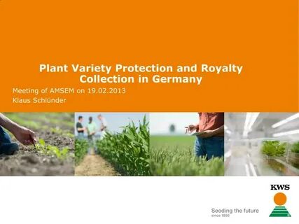 Variety plants