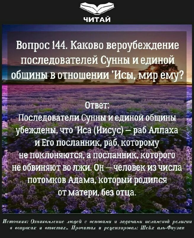 Приверженцы сунны. Аль ханафия. Приверженцы сунны. Вероубеждение в исламе. Разъяснение основ вероучения.