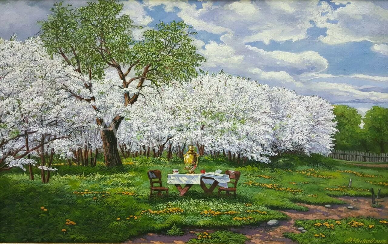 Цветущие деревья. Старые вишневые сады. Вишневый сад. Яблоневый сад в купчино. Яблоневый сад вишневый сад.