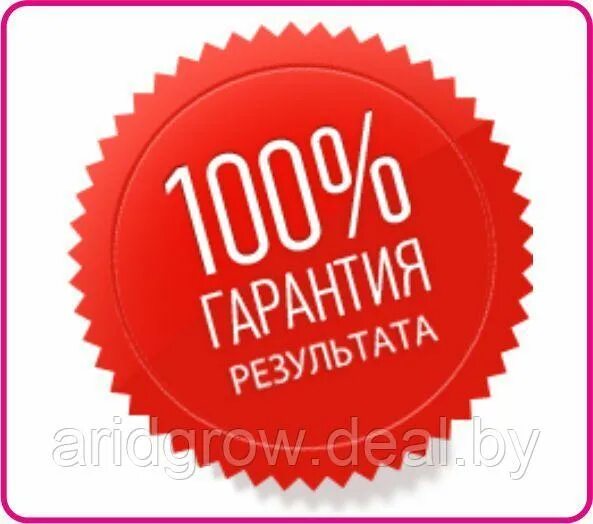 Процент гарантии. Гарантия результата. Стикер гарантия. Гарантия результата картинка. Гарантированный результат.