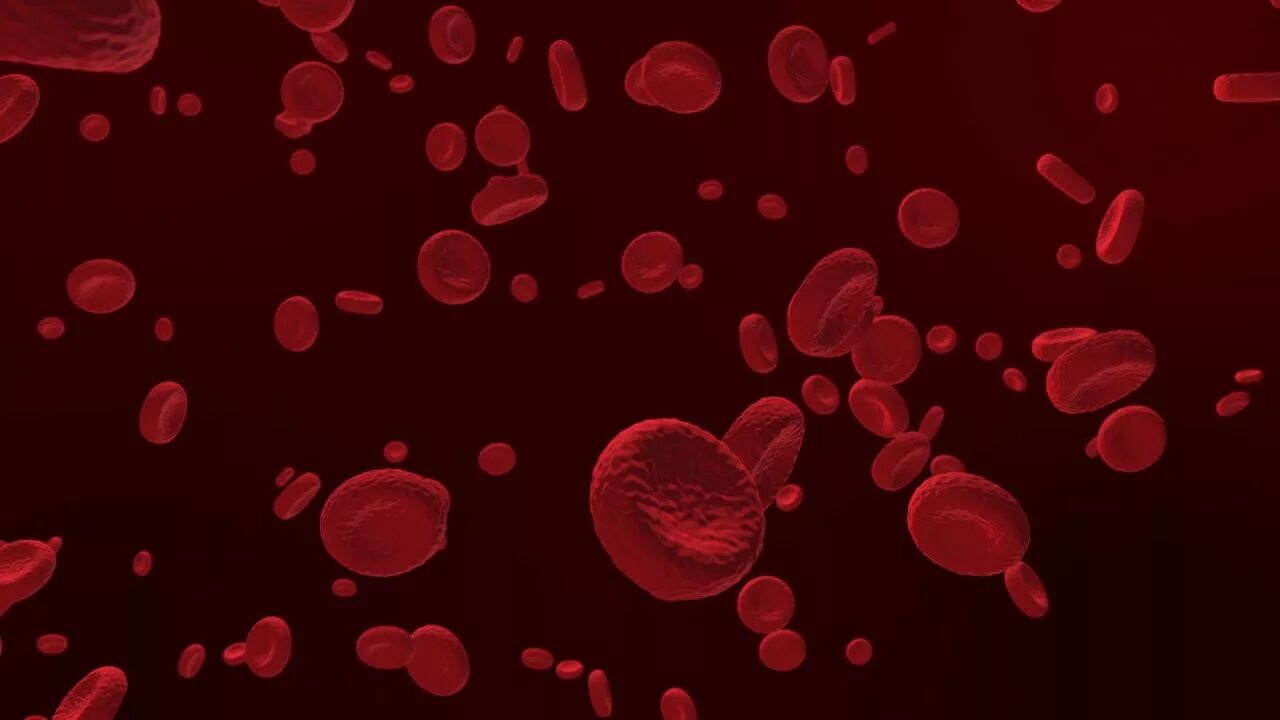 Red cell