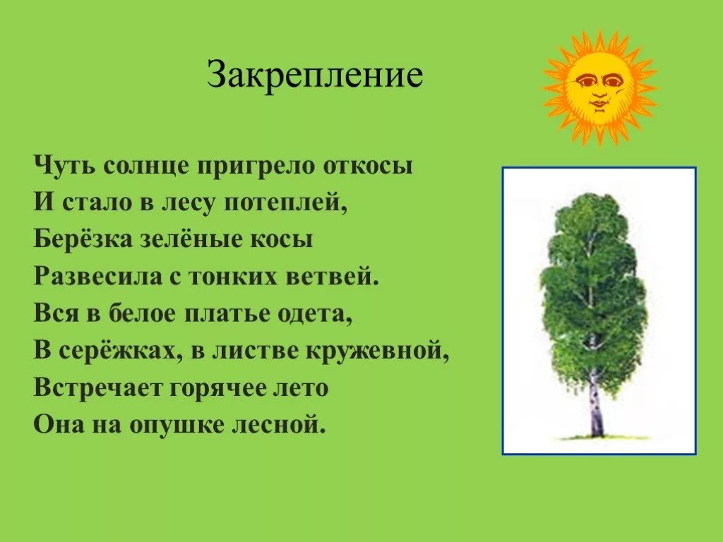 Пригревает солнышко наступили теплые. Чуть солнце пригрело. Чуть солнце пригрело откосы и стало в лесу потеплей. Береза зеленые косы развесила с тонких ветвей. Стихотворение береза чуть солнце пригрело откосы.