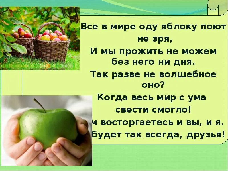 Стих про яблоко. Загадка про яблоко. Интересные факты о яблоках. Интересные факты о яблоках для детей. Стих про яблоко короткий.