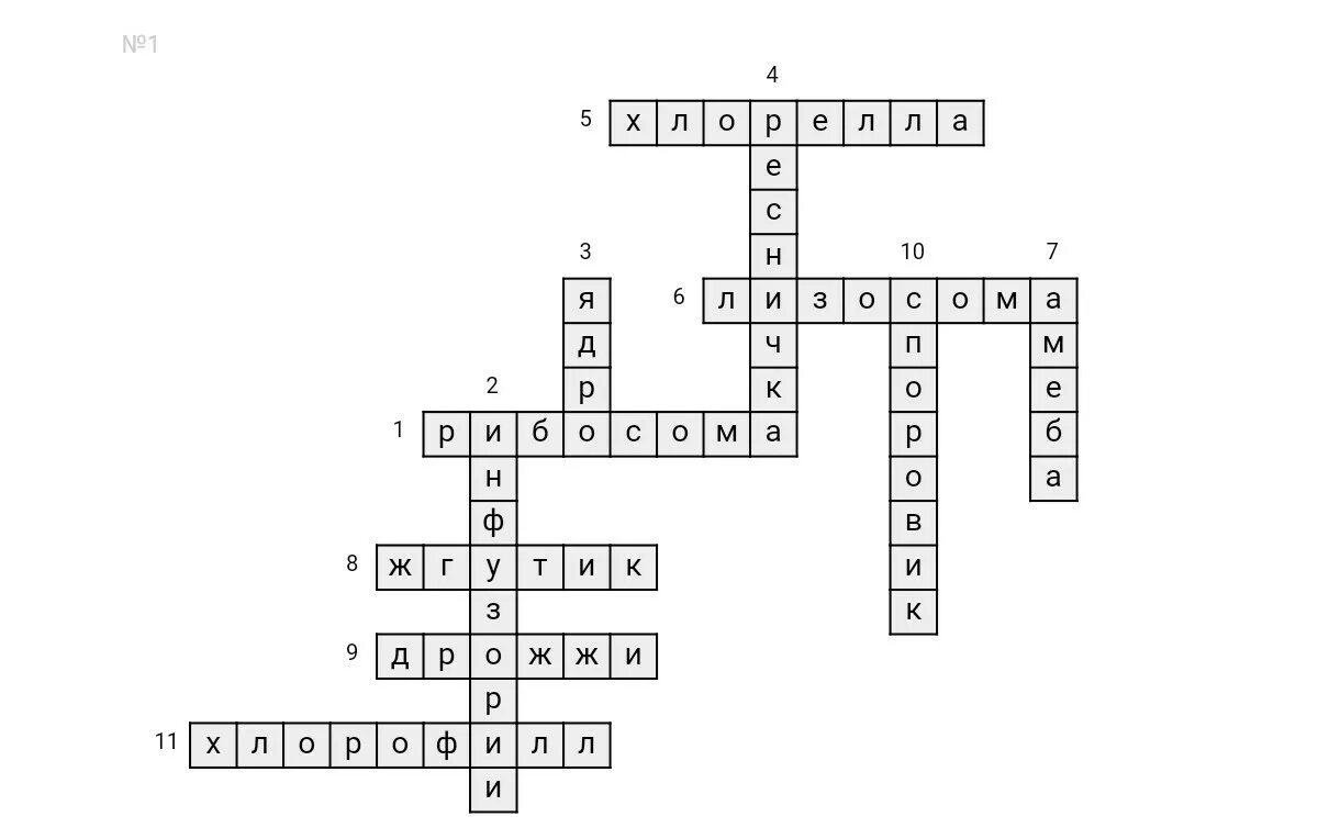 Кроссворд живые клетки. Кроссворд на тему простейшие по биологии 7 класс с ответами 20 вопросов. Кроссворд по биологии 7 класс простейшие. Кроссворд по биологии 7 класс с ответами и вопросами 25 слов. Кроссворд биология 10 класс.