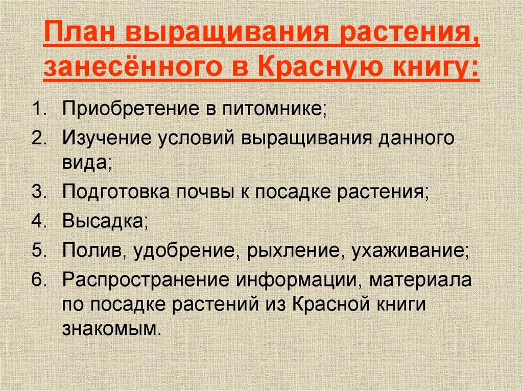 Алгоритм посадки растений. Клумбы на пришкольном участке. Хризантема дунетти. Рассада цветов схема. Технология пересадки растений.