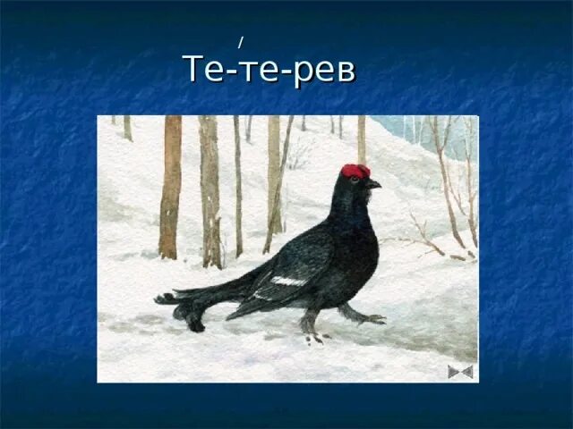 Почему нужен снег