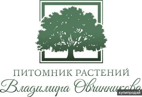 Питомник растений коломна