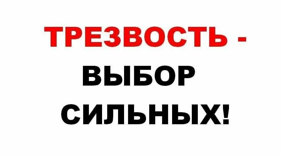 Трезвость выбор сильных. Трезвость надпись. Акция трезвость выбор сильных. Трезвость выбор сильных плакат.