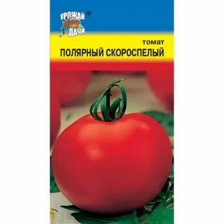 Томат полярное сияние