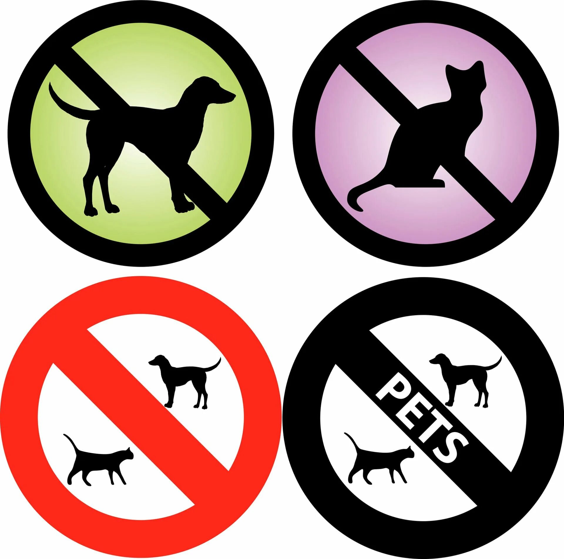 Нельзя сорок. Сорока. Знак без животных. Нельзя сорок. 40 лет день рождения не отмечают.