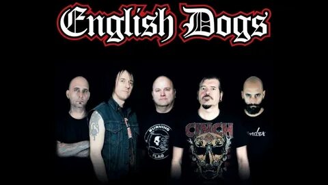 Группа dogs