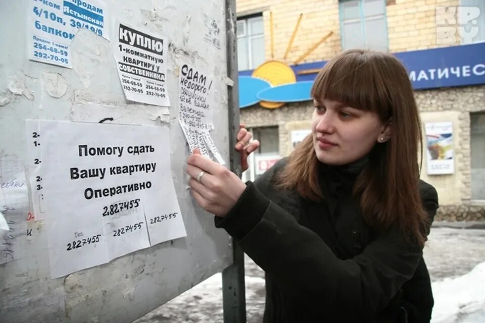 Сдается внаем