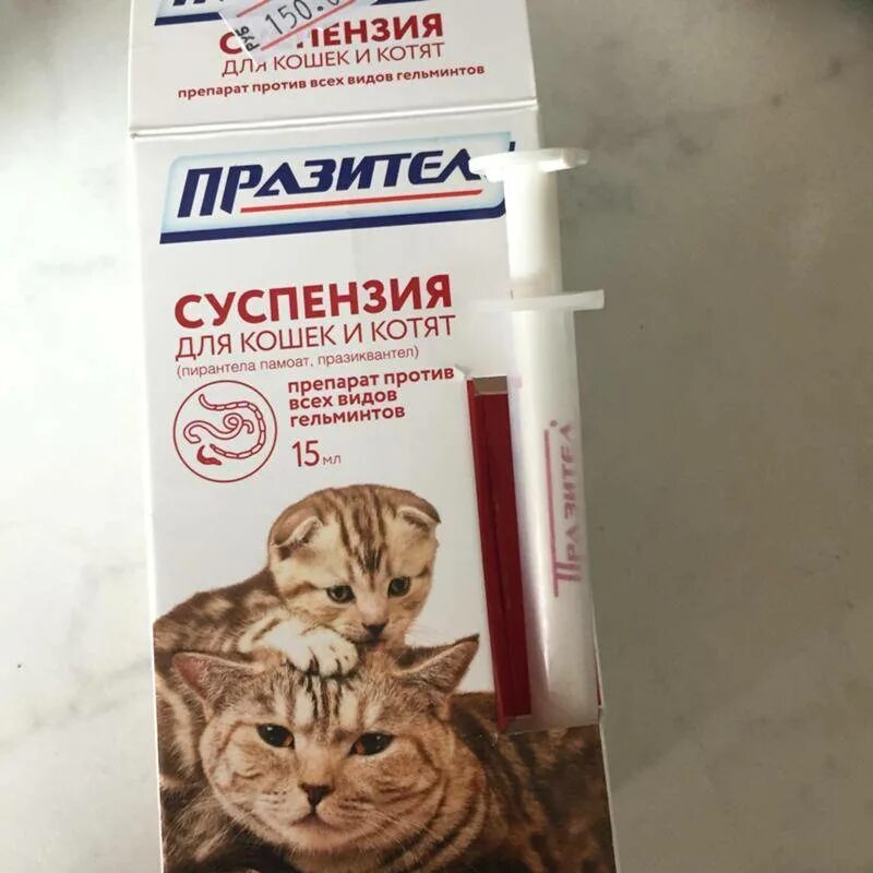 Болезни кормящей кошка. Таблетки от глистов для котят. Препараты для глистогонки кошек. Капли от глистов для котят. Глистогонное для кошек.