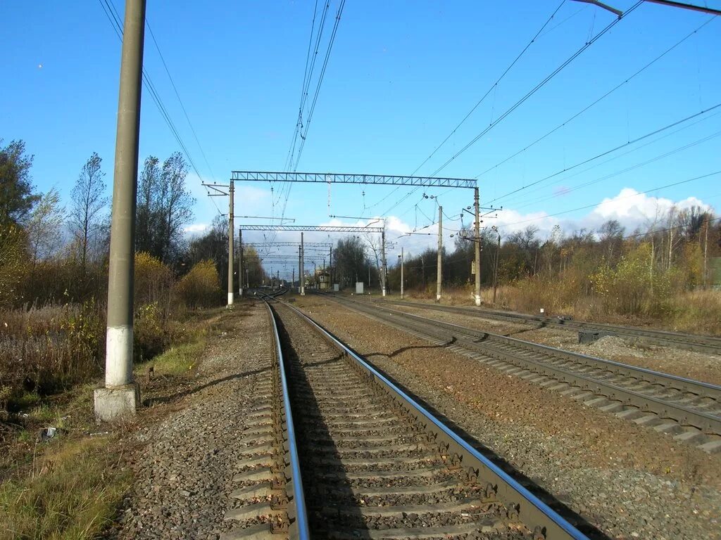 улица некрасова в парголово. поселок парголово. станция парголово летом. парголово ленинградская. железная дорога ленинградской области красивый вид.