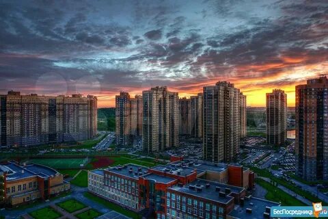 Федора абрамова 23 к 1