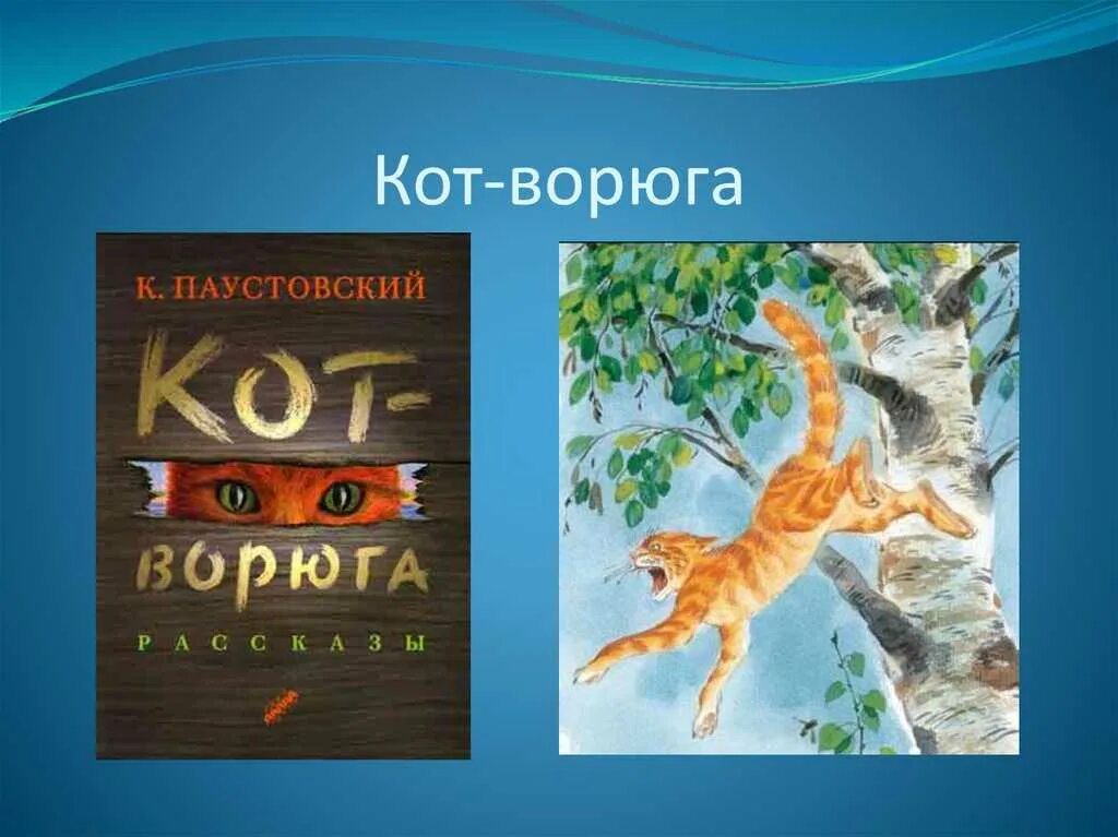 Анализ рассказа кот ворюга. Книга кот ворюга Паустовский. 3 Класс Паустовского к.г. «кот-ворюга»:. К Паустовский кот ворюга обложка.