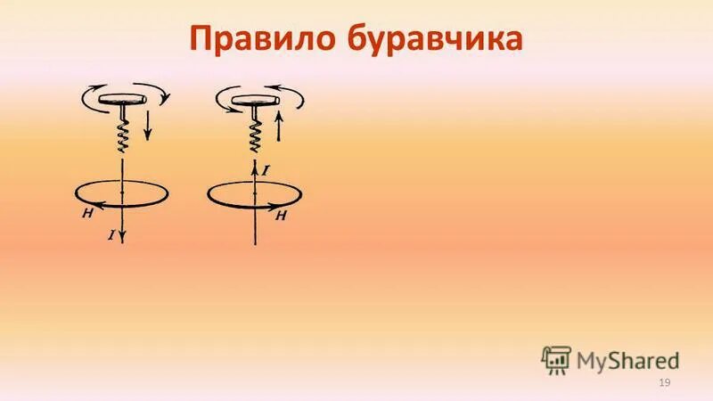 Правило буравчика собака. Правило буравчика. Правило буравчика прикол. Буравчик Мем. Буравчик языком.