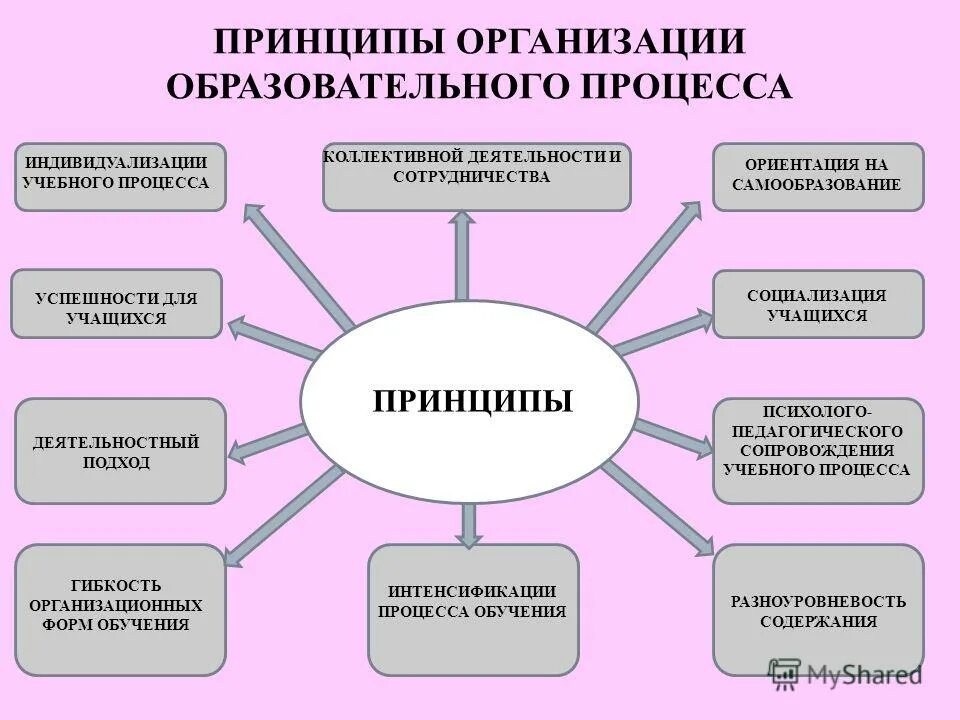 Принципы организации педагогического процесса. Условия индивидуализации обучения. Индивидуализация педагогического процесса. Индивидуализация обучения. Индивидуализация учебного процесса.