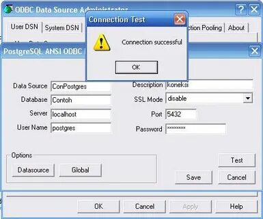 Dsn postgresql