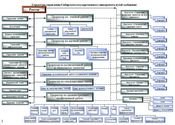 Отдел высшего образования. Организационная структура университета схема. Вуз структурная схема управления. Организационная структура учебного заведения схема. Схема органов управления университета БГУ.