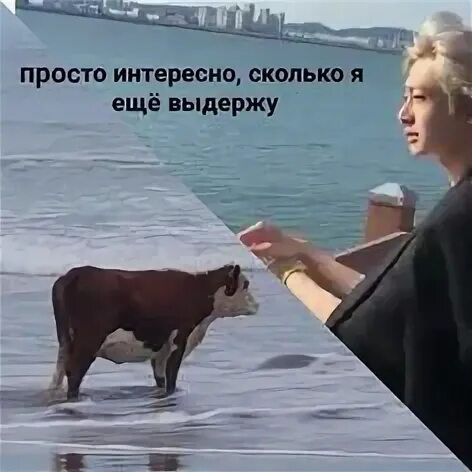 Просто интересно как