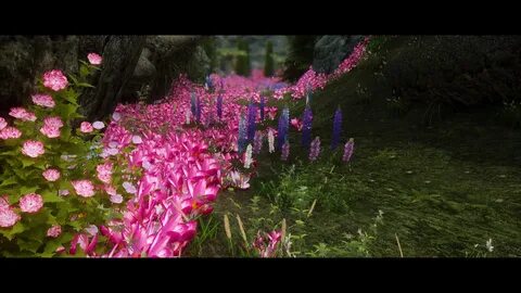 Skyrim plants