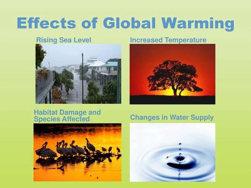 Global warming презентация. Изменение климата на английском. Глобальное потепление на английском. Effects of global warming