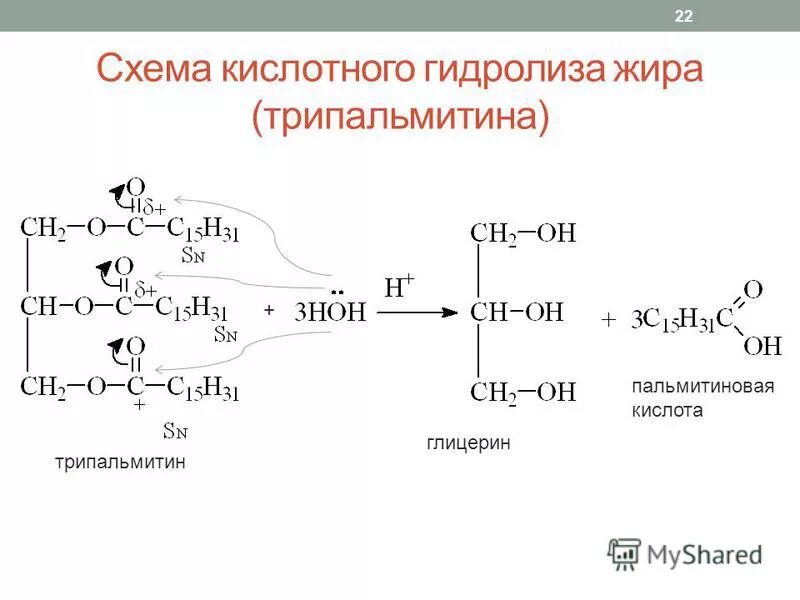 Трипальмитин структурная формула. Кислотный гидролиз трипальмитина. Трипальмитата глицерина формула. Кислотный гидролиз трипальмитина. Химическая формула липидов.