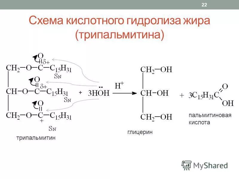 Гидролиз трипальмитата. Кислотный гидролиз пальмитиновой кислоты. Кислотный гидролизтрипальмитина. Глицерин плюс пальмитиновая кислота. Трипальмитат глицерина щелочной гидролиз.