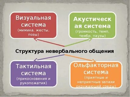 Ольфакторная система невербальной коммуникации
