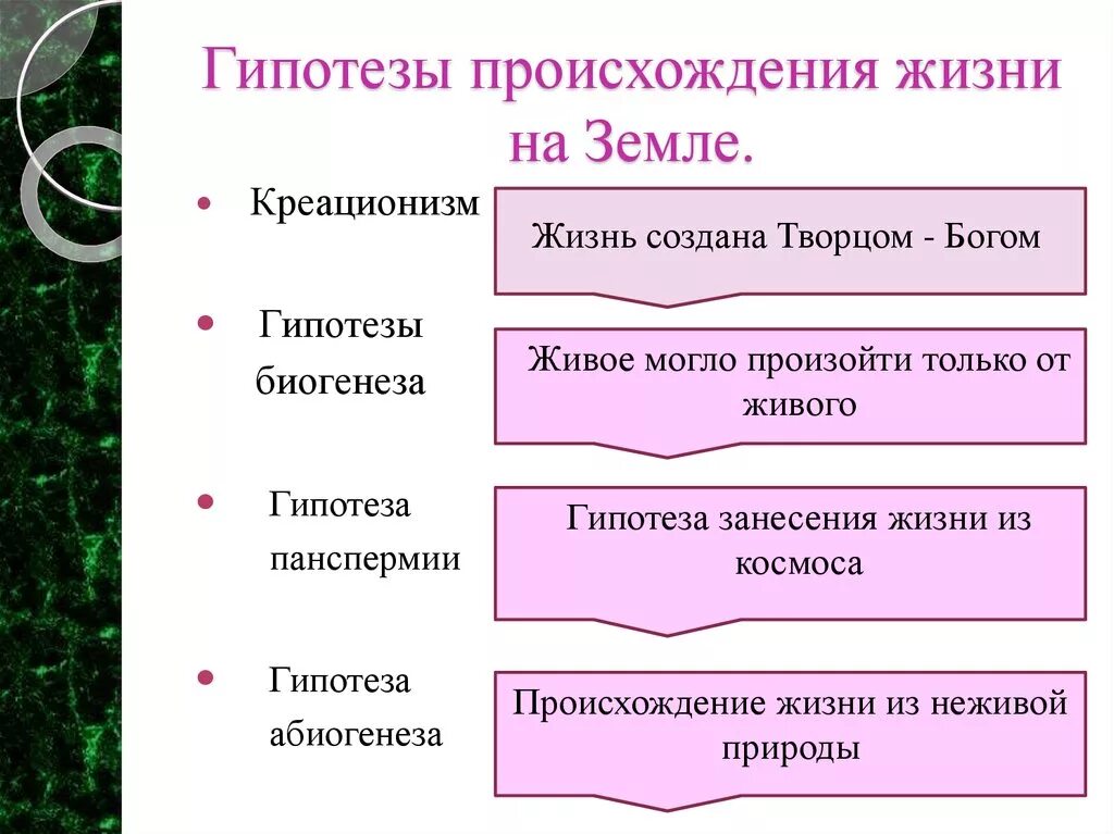 Основные источники жизни на земле. Гипотезы возникновения жизни на земле. Теории и гипотезы происхождения жизни на земле. Теории и гипотезы происхождения и развития жизни на земле. Основные научные гипотезы возникновения жизни на земле.