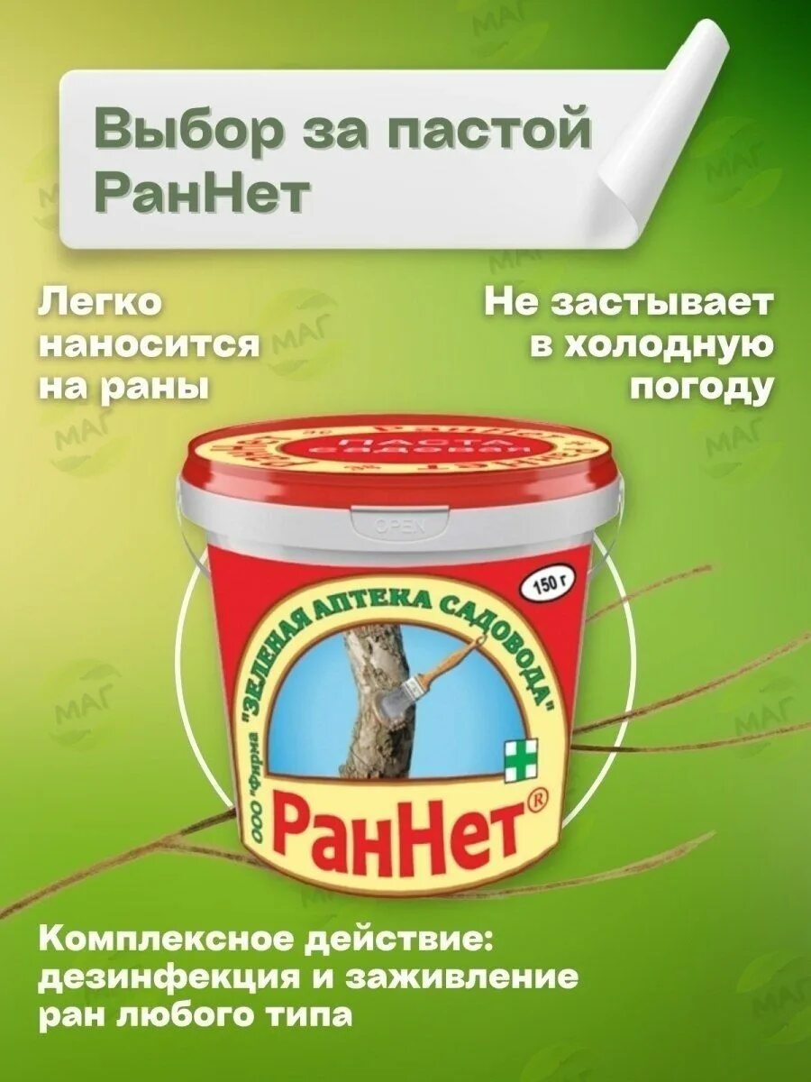 Раннет садовая паста для лечения стволов. РАННЕТ паста 150гр. Вар садовый РАННЕТ паста 150г.. РАННЕТ (паста Садовая, 150 гр). Садовая паста для дезинфекции РАННЕТ.