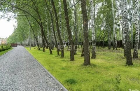 Скандинавия ульяновск