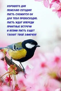 Как пожелать дня